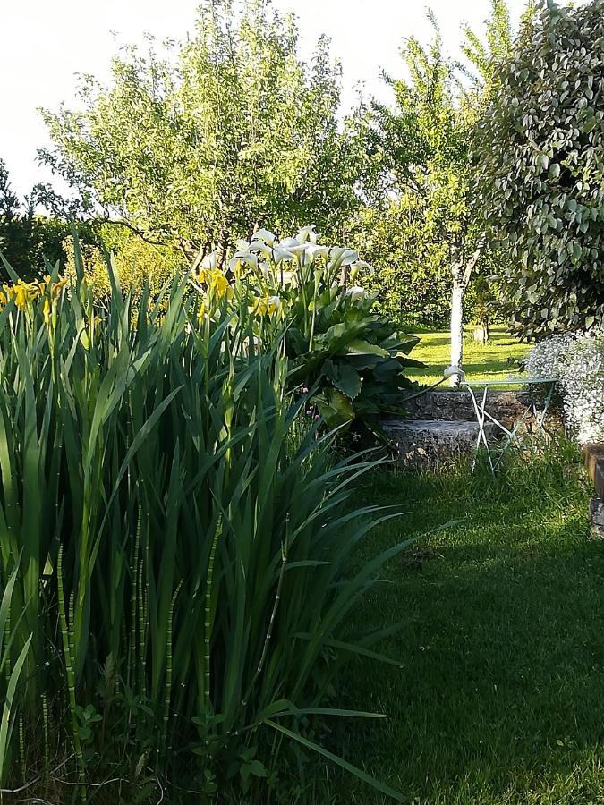 Cabariot La Cle Du Puy B&B 외부 사진