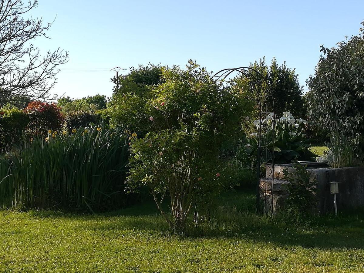 Cabariot La Cle Du Puy B&B 외부 사진
